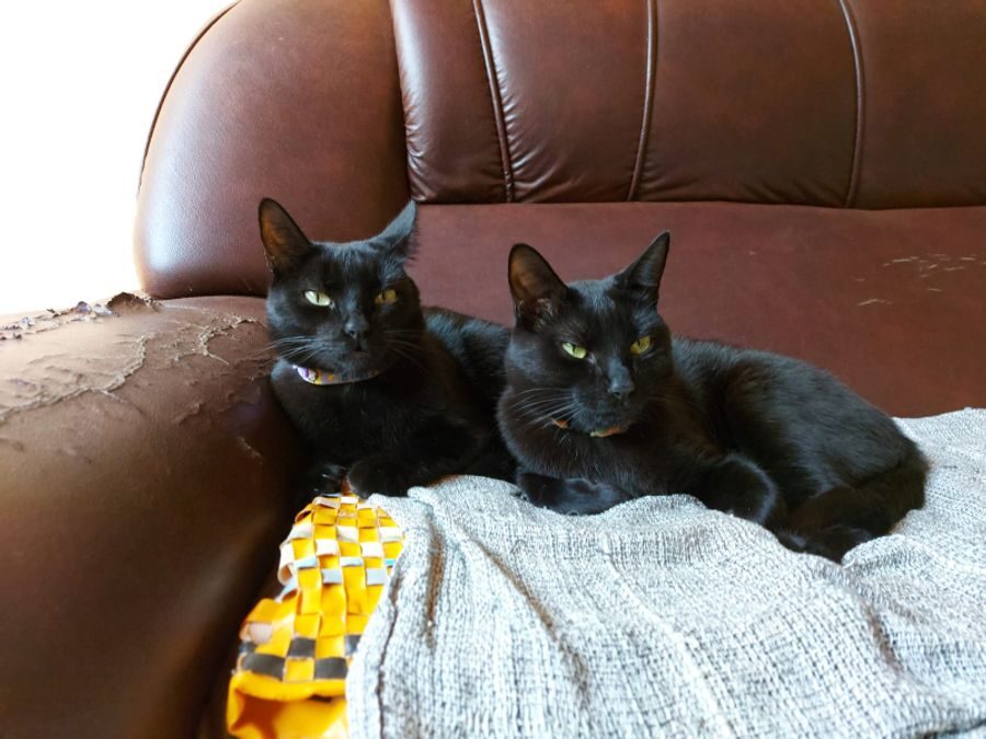 Jet & Onyx